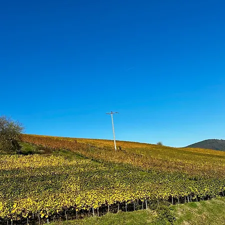 Am Kastanienbusch Birkweiler