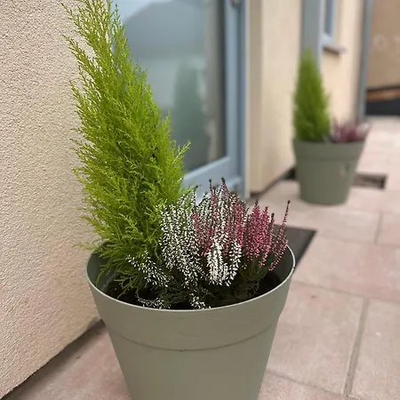 公寓 Am Kastanienbusch Birkweiler