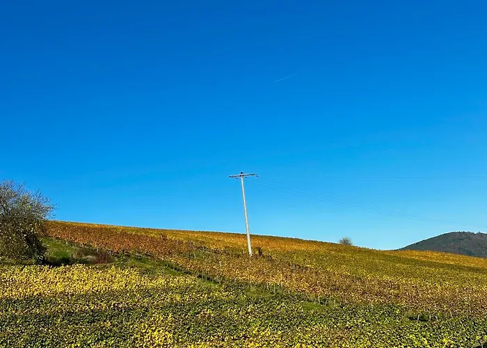 Am Kastanienbusch Birkweiler
