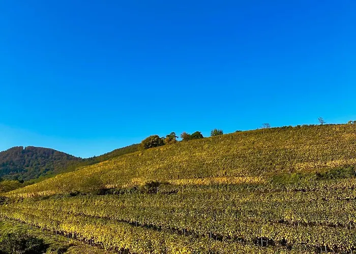 Апартаменты Am Kastanienbusch *