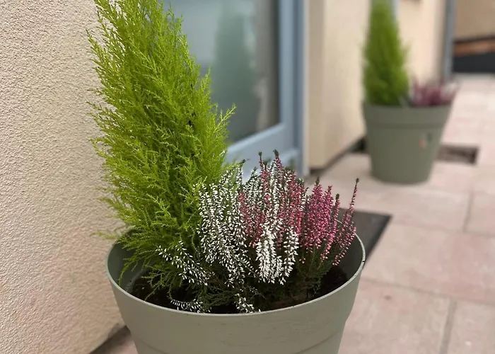 아파트 Am Kastanienbusch Birkweiler